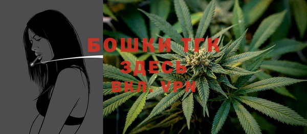 гидропоника Абаза