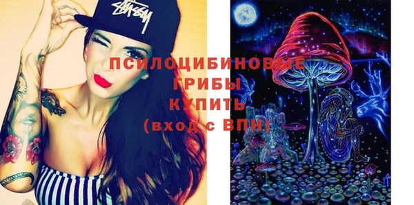 гидропоника Абаза